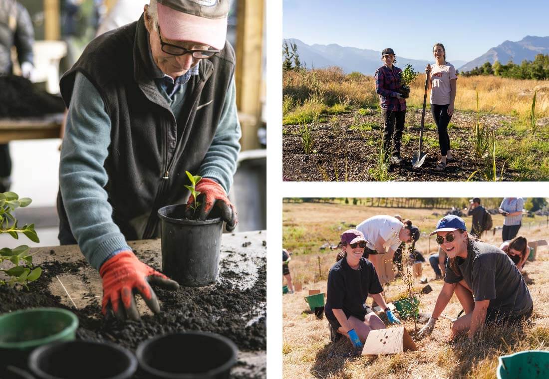 Volunteers planting native trees